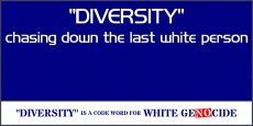 Click image for larger version. 

Name:	Diversity - Chasing Down-2.jpg 
Views:	0 
Size:	22.0 KB 
ID:	5989