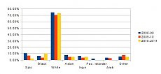 3-31-11 Ethnicity.jpg