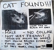 Click image for larger version. 

Name:	cat+found.jpg 
Views:	0 
Size:	49.9 KB 
ID:	5390