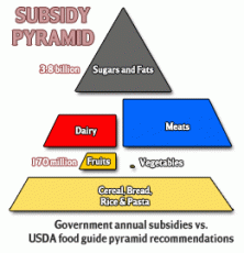 Click image for larger version. 

Name:	food-pyramid-government-subsidies.gif 
Views:	0 
Size:	9.7 KB 
ID:	6769