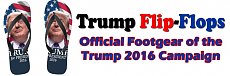 Click image for larger version. 

Name:	donald_trump_flip_flops.jpg 
Views:	0 
Size:	50.7 KB 
ID:	5698