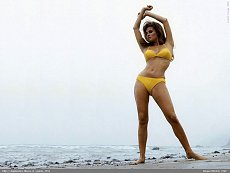 Click image for larger version. 

Name:	raquel-welch-yellow-bikini-69-wallpaper-1024.jpg 
Views:	0 
Size:	206.8 KB 
ID:	3105